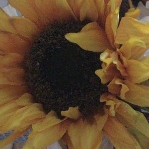 Meet your Posher, Juanita